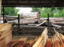 Automatisierte Systeme für die Pellets-Produktion und Holztrocknung Für Sägewerke
